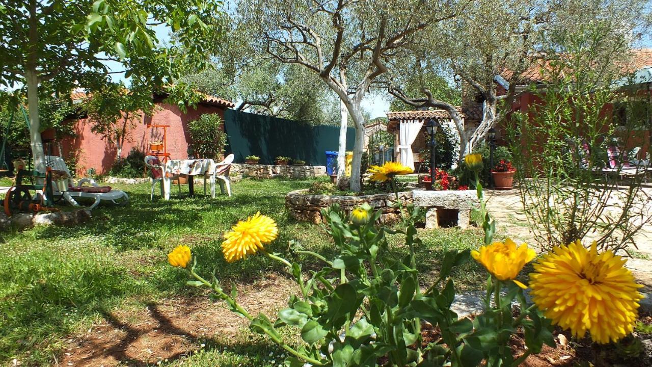 Casa Terren Grande Villa Ровин Екстериор снимка
